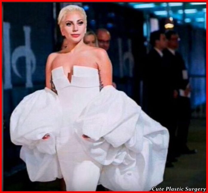 Lady Gaga Plastic Surgery Rumors - Celebrities Plastic Surgery